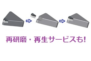 Image Caption